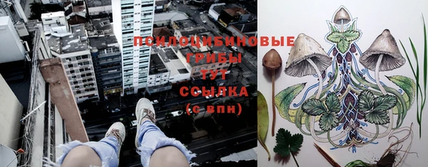 бутират Бугульма