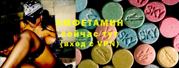твердый Бородино