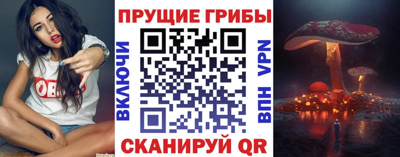 как найти   Голицыно  Псилоцибиновые грибы прущие грибы 